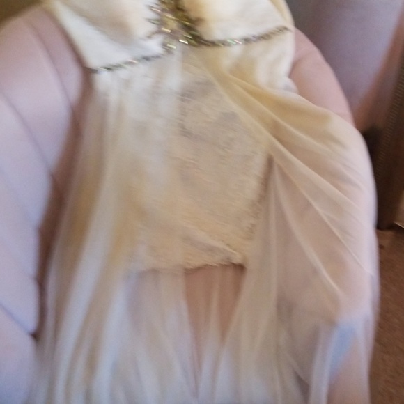 Beautiful white lace and floor length sheer panel - Picture 4 of 4